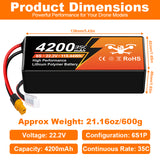 Yattox 6S 4200mAh 35C 100% LCO Lipo Battery with XT60